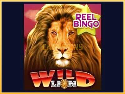 गेमिंग मशीन Wild Lion with Reel Bingo बड़ी रकम पाने का आपका रास्ता