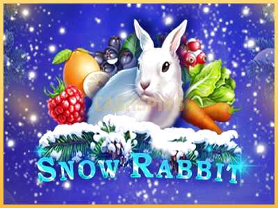 गेमिंग मशीन Snow Rabbit बड़ी रकम पाने का आपका रास्ता